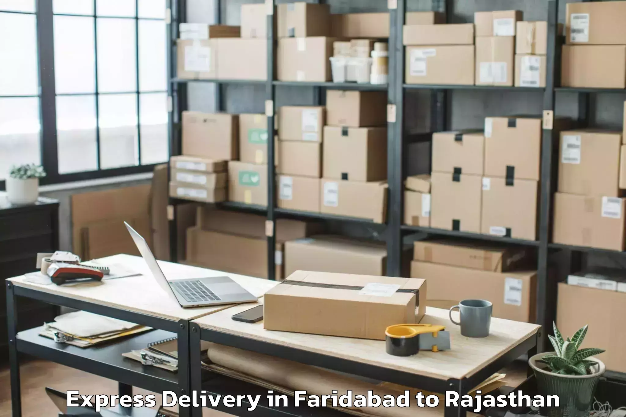 Book Faridabad to Pipalda Express Delivery